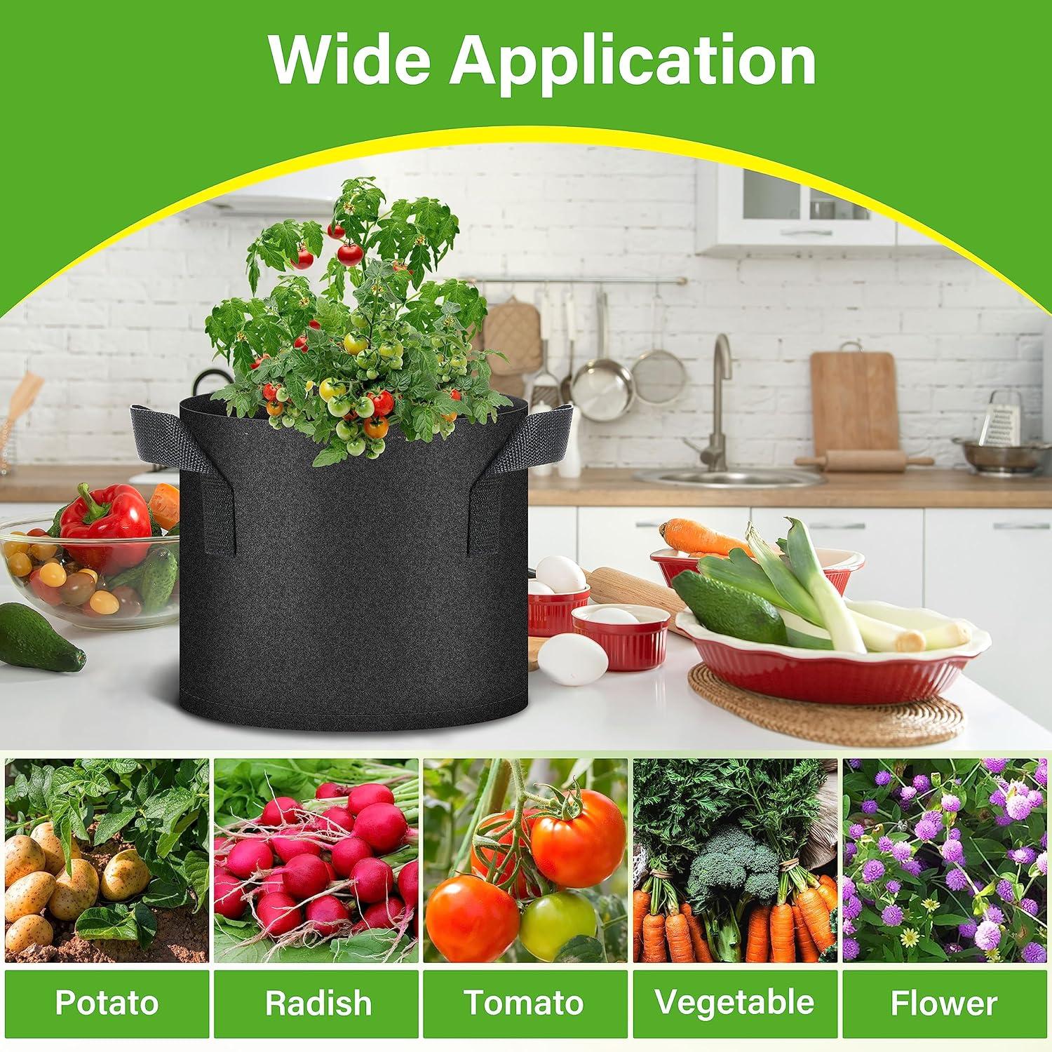 imageHealSmart 12Pack 3 Gallon Nonwoven Grow Bags Aeration Fabric Pots with Handles Suitable for Garden Fruits Vegetables and Flowers BlackBlack  12 Pack