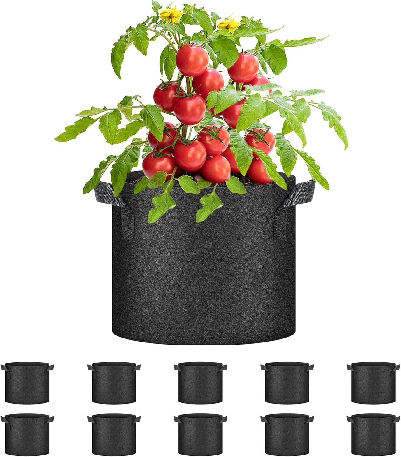 imageHealSmart Plant Grow Bags 5 Gallon Tomoato Planter Pots 5Pack with Handles Aeration Nonwoven Fabric Heavy Duty Gardening Planter for Vegetable Herbs and Flowers BlackBlack  10 Pack
