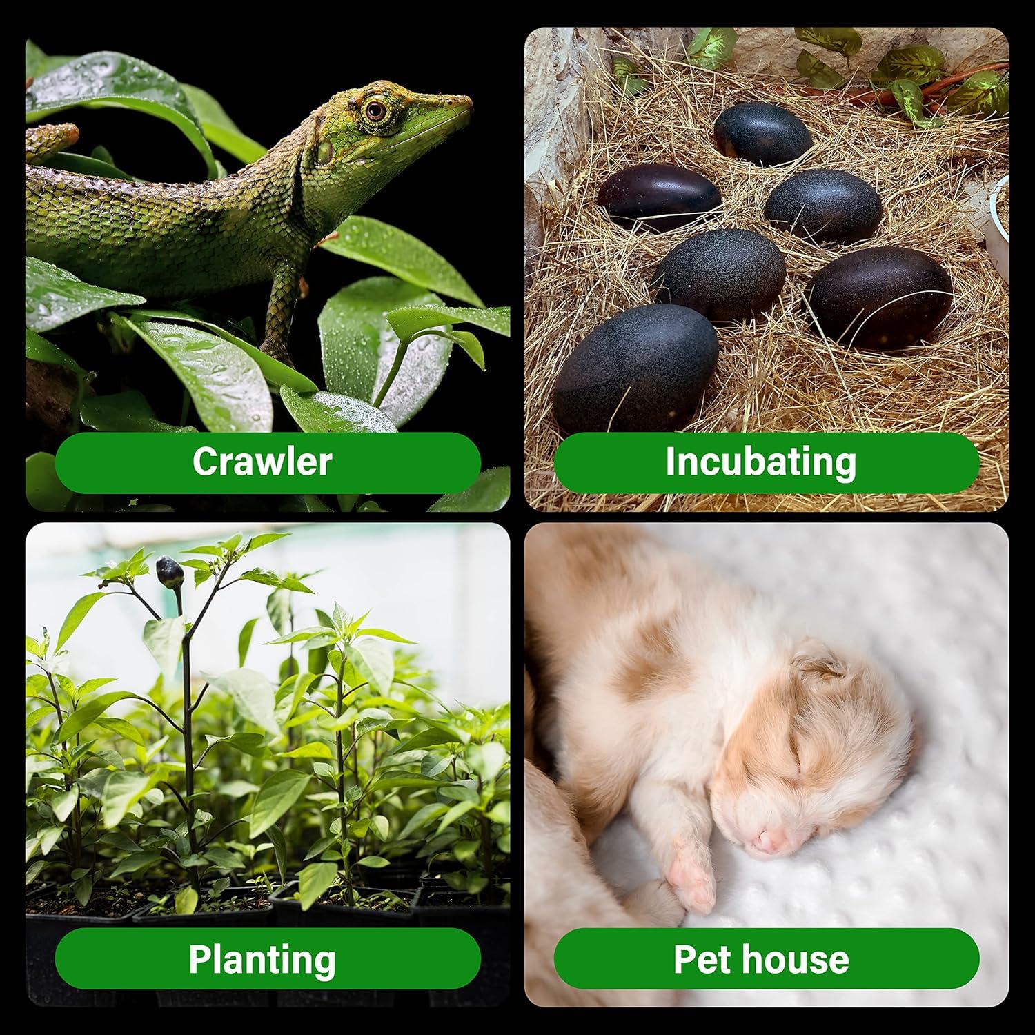 imageHealSmart Reptile Heat Lamp Bulb Ceramic Heat Emitter 100W No Light Emitting Brooder Coop Heater for Amphibian Pet ampamp Incubating Chicken Black1 Pcs White