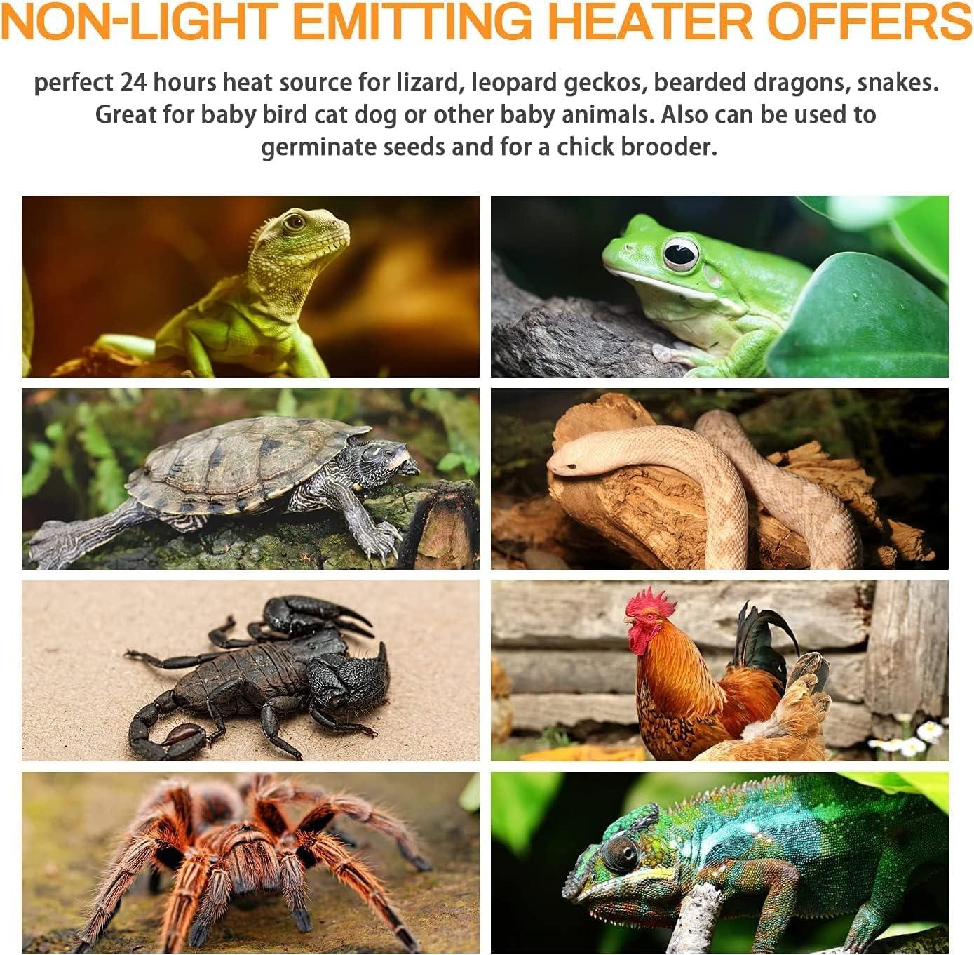 imageHealSmart Reptile Mini Heat Lamp 25W50W Ceramic Heat Emitter No Light Emitting Infrared Heat Bulbs for Amphibian Pet Brooder Coop Incubating ChickenWhite2 Pack