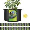 imageHealSmart 12Pack 3 Gallon Nonwoven Grow Bags Aeration Fabric Pots with Handles Suitable for Garden Fruits Vegetables and Flowers BlackBlack  12 Pack