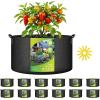 imageHealSmart 12Pack 3 Gallon Nonwoven Grow Bags Aeration Fabric Pots with Handles Suitable for Garden Fruits Vegetables and Flowers BlackBlack  12 Pack