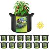 imageHealSmart 12Pack 3 Gallon Nonwoven Grow Bags Aeration Fabric Pots with Handles Suitable for Garden Fruits Vegetables and Flowers BlackBlack  12 Pack