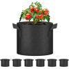 imageHealSmart 12Pack 3 Gallon Nonwoven Grow Bags Aeration Fabric Pots with Handles Suitable for Garden Fruits Vegetables and Flowers BlackBlack  6 Pack