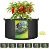 imageHealSmart 12Pack 3 Gallon Nonwoven Grow Bags Aeration Fabric Pots with Handles Suitable for Garden Fruits Vegetables and Flowers BlackBlack  6 Pack