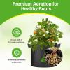 imageHealSmart 6Pack 1 Gallon Grow Bags Nonwoven Aeration Fabric Pots with Handles Cloth Plant Pots Suitable for Garden Fruits Vegetables Tomato and Flowers BlackBlack 12 Pack