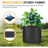 imageHealSmart Plant Grow Bags 5 Gallon Tomoato Planter Pots 5Pack with Handles Aeration Nonwoven Fabric Heavy Duty Gardening Planter for Vegetable Herbs and Flowers BlackBlack  20 Pack