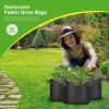 imageHealSmart Plant Grow Bags 5 Gallon Tomoato Planter Pots 5Pack with Handles Aeration Nonwoven Fabric Heavy Duty Gardening Planter for Vegetable Herbs and Flowers Black2025version Black  10 Pack