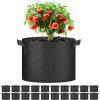 imageHealSmart Plant Grow Bags 5 Gallon Tomoato Planter Pots 5Pack with Handles Aeration Nonwoven Fabric Heavy Duty Gardening Planter for Vegetable Herbs and Flowers BlackBlack  20 Pack