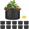 imageHealSmart Plant Grow Bags 7 Gallon Tomoato Planter Pots 5Pack with Handles Aeration Nonwoven Fabric Heavy Duty Gardening Planter for Vegetable Herbs and Flowers Black 2024 VersionBlack  10 Pack New