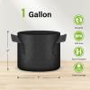 imageHealSmart Plant Grow Bags 7 Gallon Tomoato Planter Pots 5Pack with Handles Aeration Nonwoven Fabric Heavy Duty Gardening Planter for Vegetable Herbs and Flowers Black 2024 VersionBlack  5 Pack New