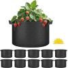 imageHealSmart Plant Grow Bags 7 Gallon Tomoato Planter Pots 5Pack with Handles Aeration Nonwoven Fabric Heavy Duty Gardening Planter for Vegetable Herbs and Flowers Black 2024 VersionBlack  10 Pack New