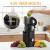 imageHealSmart Cold Press Juicer Slow Masticating Juicer Machines with Wide Feed Chute Fits Whole Fruits and Vegetables High Juice Yield BPA Free Easy to Clean SilverBlack
